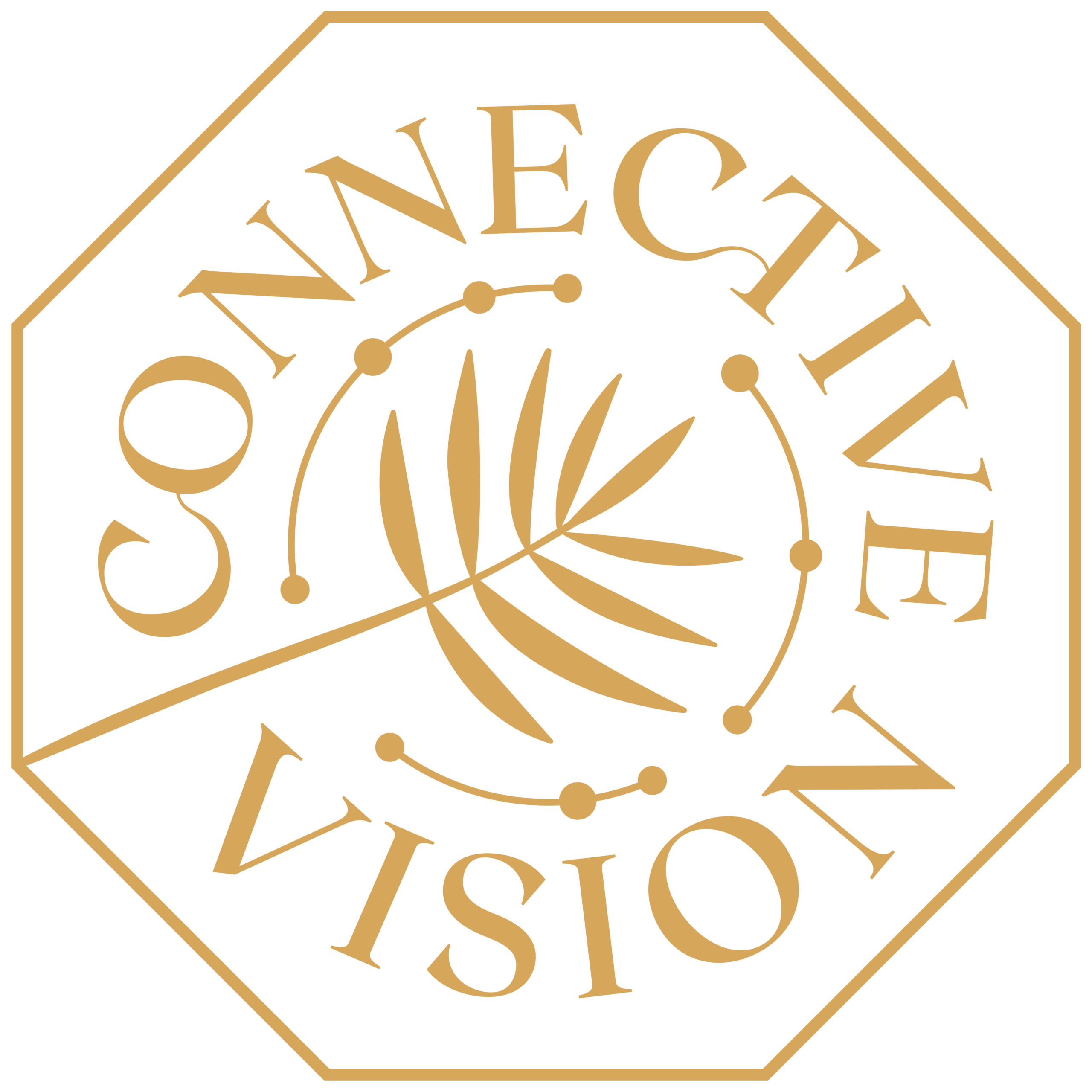 Meet The Founder Connective Vision