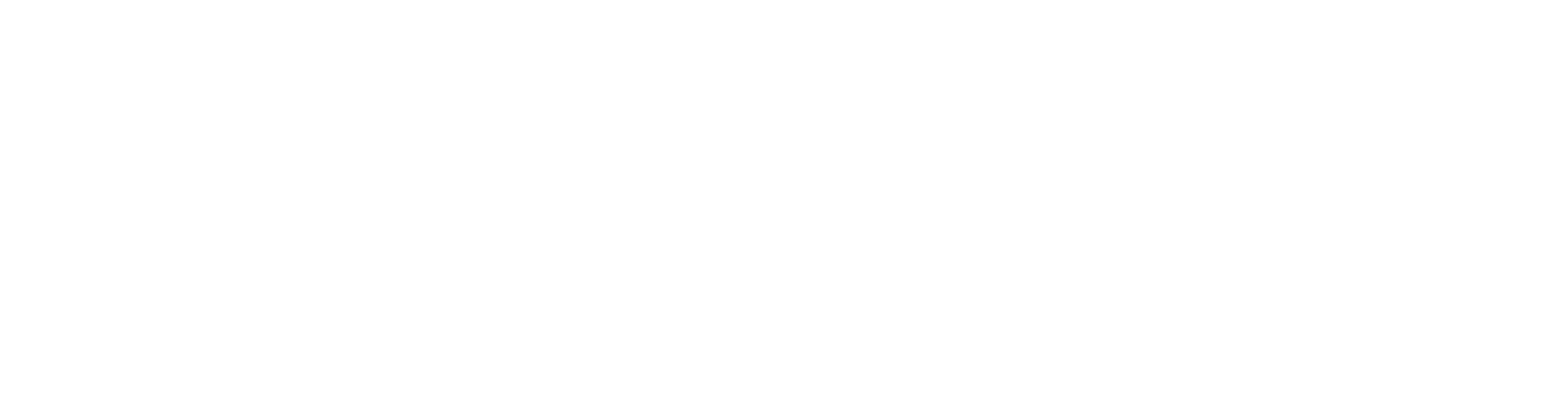 ConnectiveVision_left_aligned_font_White