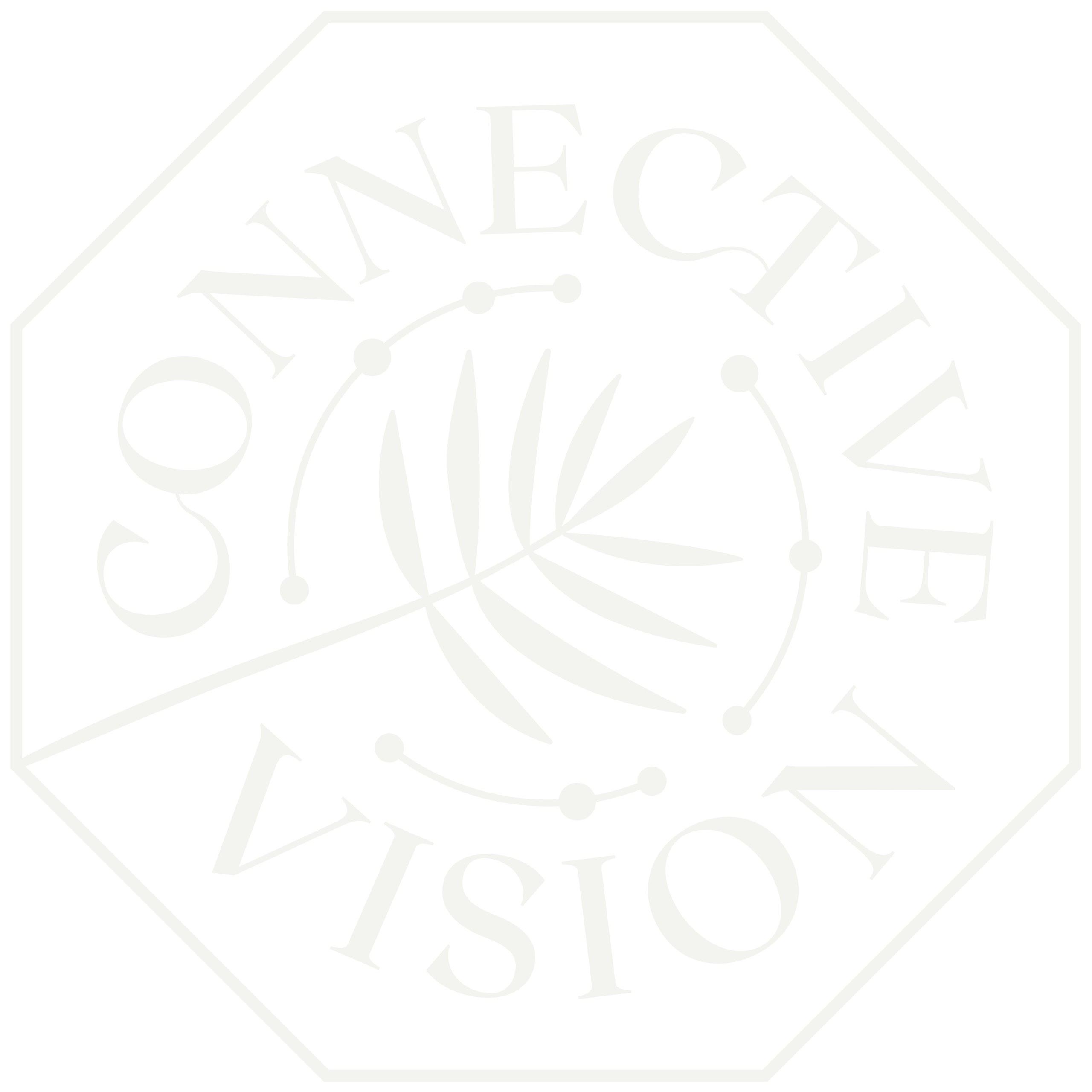 Connective Vision logo – Octagon, palm, and serif wordmark design